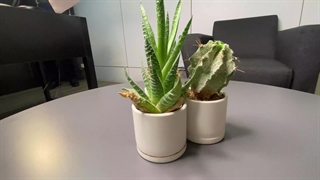 بازسازی-ساختمان