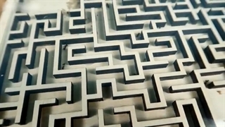 مورچه داخل بازی حل ماز (خیلی جالبه)