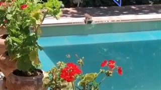 چقدر ظرفیت داری