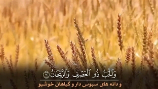 تلاوت بسیار زیبای سوره الرحمن (عروس قرآن) با زیرنویس فارسی