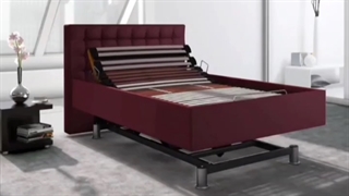 زیرتشکی دانلوپیلو