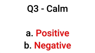 50 Question Grammar Quiz_Does The Adjective Have a POSITIVE or a NEGATIVE Association_(All Levels)