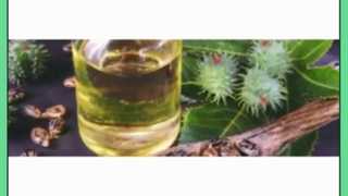 روغن کرچک چیست و چه خواصی برای پوست دارد؟