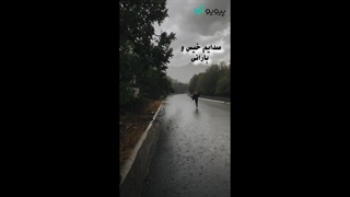 کلیپ احساسی درباره پاییز و دلتنگی