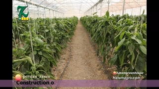 ساخت گلخانه ۲۰ هکتاری در استان هرمزگان