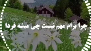 ادیت آهنگ چرا مدگل