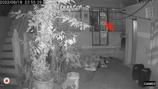 صورت این روح را کاملا می توان دید