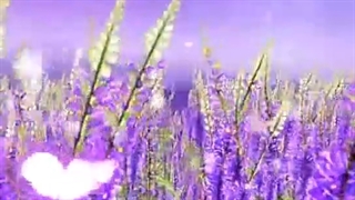 کلیپ کیوت ساخت خودم