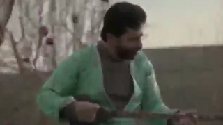شب یلدا