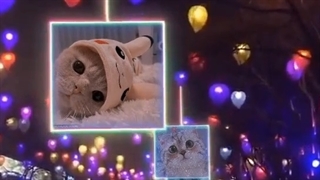 ای خدااااااا مگه کیوت تر از این هم مگه اخه داریممم