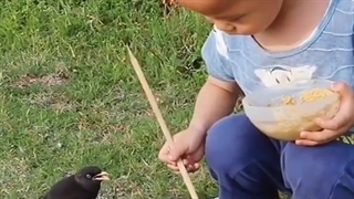 مهربانی؛غذای روح.