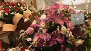 جشن تولد آنچنانی نسرین مقانلو آکنه