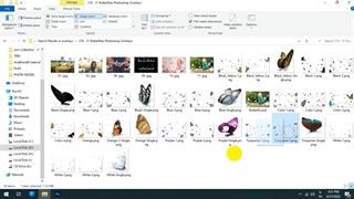 ویرایش رومانتیک عکس