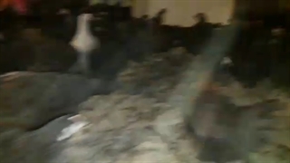 مرغ محلی یکدست مشکی