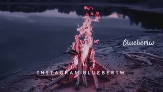 بهترین بو ها