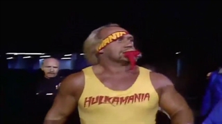 هالک هوگان و کینگ کونگ پاندی در رسلمنیا2