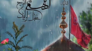 امام زمان (عج) مانند جدش سفینة النجاة است....
