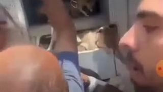 نجات سگ ها