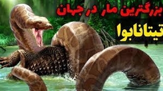 تیتانابوا بزرگترین مار کشف شده در جهان