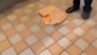 چه قدر عجیب