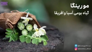 سرم دو فاز مورینگا بیز