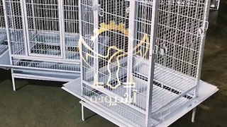 قفس طوطی و قفس عروس هلندی