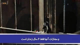 14011030: گزارش تکاندهنده انجمن پزشکی آمریکا از وضعیت زنان در این کشور