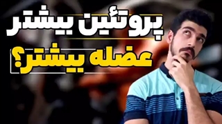 چقدر پروتئین بخوریم برای حداکثر رشد؟ | پروتئین بیشتر عضله بیشتر میسازه؟