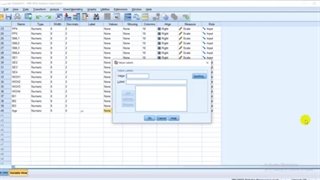 تعریف متغیرها در اس پی اس اس