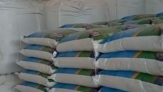 کارخانه پودر لباسشویی