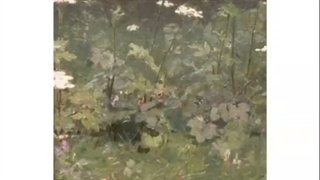 INTP به عنوان چیزای رندوم