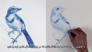 10.نقاشی اسکراب جی 3