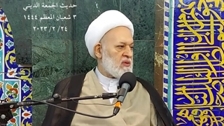 إحیاء قضیة الإمام الحسین علیه السلام فی بعدها المهدوی بین الشعارات والشعائر