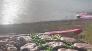 کایاک پویانیز ، پدل برد و ویندسرف POUYANIZ